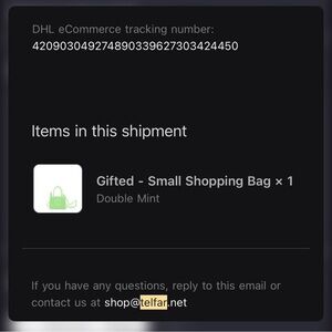 Telfar Small Shopping Bag in Mint Green